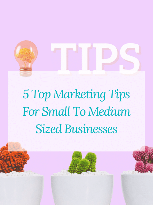 5 Top Marketing Tips For Small To Medium Businesses